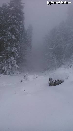 [P07] Peisaj sinistru » foto by IULIU ANTAL
 - 
<span class="allrVoted glyphicon glyphicon-heart hidden" id="av586455"></span>
<a class="m-l-10 hidden" id="sv586455" onclick="voting_Foto_DelVot(,586455,11186)" role="button">șterge vot <span class="glyphicon glyphicon-remove"></span></a>
<a id="v9586455" class=" c-red"  onclick="voting_Foto_SetVot(586455)" role="button"><span class="glyphicon glyphicon-heart-empty"></span> <b>LIKE</b> = Votează poza</a> <img class="hidden"  id="f586455W9" src="/imagini/loader.gif" border="0" /><span class="AjErrMes hidden" id="e586455ErM"></span>