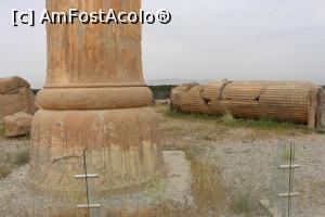 [P15] Persepolis, Palatul Apadana, Verticale sau orizontale imensele coloane impresionează » foto by mprofeanu
 - 
<span class="allrVoted glyphicon glyphicon-heart hidden" id="av876034"></span>
<a class="m-l-10 hidden" id="sv876034" onclick="voting_Foto_DelVot(,876034,11195)" role="button">șterge vot <span class="glyphicon glyphicon-remove"></span></a>
<a id="v9876034" class=" c-red"  onclick="voting_Foto_SetVot(876034)" role="button"><span class="glyphicon glyphicon-heart-empty"></span> <b>LIKE</b> = Votează poza</a> <img class="hidden"  id="f876034W9" src="/imagini/loader.gif" border="0" /><span class="AjErrMes hidden" id="e876034ErM"></span>
