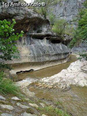 [P03] Cheile Banitei » foto by Michi
 - 
<span class="allrVoted glyphicon glyphicon-heart hidden" id="av1496981"></span>
<a class="m-l-10 hidden" id="sv1496981" onclick="voting_Foto_DelVot(,1496981,11234)" role="button">șterge vot <span class="glyphicon glyphicon-remove"></span></a>
<a id="v91496981" class=" c-red"  onclick="voting_Foto_SetVot(1496981)" role="button"><span class="glyphicon glyphicon-heart-empty"></span> <b>LIKE</b> = Votează poza</a> <img class="hidden"  id="f1496981W9" src="/imagini/loader.gif" border="0" /><span class="AjErrMes hidden" id="e1496981ErM"></span>