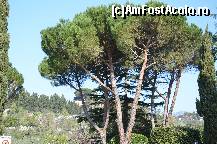 [P24] N-am putut sa nu cobor din masina si sa imortalizez vegetatia Toscanei ... » foto by elenahelen
 - 
<span class="allrVoted glyphicon glyphicon-heart hidden" id="av304907"></span>
<a class="m-l-10 hidden" id="sv304907" onclick="voting_Foto_DelVot(,304907,11256)" role="button">șterge vot <span class="glyphicon glyphicon-remove"></span></a>
<a id="v9304907" class=" c-red"  onclick="voting_Foto_SetVot(304907)" role="button"><span class="glyphicon glyphicon-heart-empty"></span> <b>LIKE</b> = Votează poza</a> <img class="hidden"  id="f304907W9" src="/imagini/loader.gif" border="0" /><span class="AjErrMes hidden" id="e304907ErM"></span>