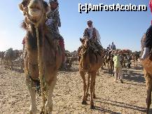 [P12]  -- <small>// FĂRĂ DESCRIERE</small> » foto by Ovidiu77TM
 - 
<span class="allrVoted glyphicon glyphicon-heart hidden" id="av306637"></span>
<a class="m-l-10 hidden" id="sv306637" onclick="voting_Foto_DelVot(,306637,11318)" role="button">șterge vot <span class="glyphicon glyphicon-remove"></span></a>
<a id="v9306637" class=" c-red"  onclick="voting_Foto_SetVot(306637)" role="button"><span class="glyphicon glyphicon-heart-empty"></span> <b>LIKE</b> = Votează poza</a> <img class="hidden"  id="f306637W9" src="/imagini/loader.gif" border="0" /><span class="AjErrMes hidden" id="e306637ErM"></span>