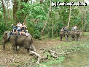 [P08] grupul nostru prin jungla » foto by buterfly*
 - 
<span class="allrVoted glyphicon glyphicon-heart hidden" id="av510895"></span>
<a class="m-l-10 hidden" id="sv510895" onclick="voting_Foto_DelVot(,510895,11367)" role="button">șterge vot <span class="glyphicon glyphicon-remove"></span></a>
<a id="v9510895" class=" c-red"  onclick="voting_Foto_SetVot(510895)" role="button"><span class="glyphicon glyphicon-heart-empty"></span> <b>LIKE</b> = Votează poza</a> <img class="hidden"  id="f510895W9" src="/imagini/loader.gif" border="0" /><span class="AjErrMes hidden" id="e510895ErM"></span>