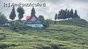 [P27] Spre Illam, plantații D eceai » foto by Mika
 - 
<span class="allrVoted glyphicon glyphicon-heart hidden" id="av1504139"></span>
<a class="m-l-10 hidden" id="sv1504139" onclick="voting_Foto_DelVot(,1504139,11367)" role="button">șterge vot <span class="glyphicon glyphicon-remove"></span></a>
<a id="v91504139" class=" c-red"  onclick="voting_Foto_SetVot(1504139)" role="button"><span class="glyphicon glyphicon-heart-empty"></span> <b>LIKE</b> = Votează poza</a> <img class="hidden"  id="f1504139W9" src="/imagini/loader.gif" border="0" /><span class="AjErrMes hidden" id="e1504139ErM"></span>