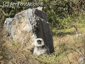 [P55]  -- <small>// FĂRĂ DESCRIERE</small> » foto by Mika
 - 
<span class="allrVoted glyphicon glyphicon-heart hidden" id="av1504167"></span>
<a class="m-l-10 hidden" id="sv1504167" onclick="voting_Foto_DelVot(,1504167,11367)" role="button">șterge vot <span class="glyphicon glyphicon-remove"></span></a>
<a id="v91504167" class=" c-red"  onclick="voting_Foto_SetVot(1504167)" role="button"><span class="glyphicon glyphicon-heart-empty"></span> <b>LIKE</b> = Votează poza</a> <img class="hidden"  id="f1504167W9" src="/imagini/loader.gif" border="0" /><span class="AjErrMes hidden" id="e1504167ErM"></span>