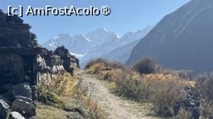 [P59] Langtang Trek » foto by Mika
 - 
<span class="allrVoted glyphicon glyphicon-heart hidden" id="av1504171"></span>
<a class="m-l-10 hidden" id="sv1504171" onclick="voting_Foto_DelVot(,1504171,11367)" role="button">șterge vot <span class="glyphicon glyphicon-remove"></span></a>
<a id="v91504171" class=" c-red"  onclick="voting_Foto_SetVot(1504171)" role="button"><span class="glyphicon glyphicon-heart-empty"></span> <b>LIKE</b> = Votează poza</a> <img class="hidden"  id="f1504171W9" src="/imagini/loader.gif" border="0" /><span class="AjErrMes hidden" id="e1504171ErM"></span>