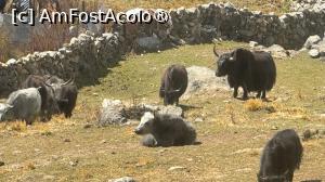 [P71]  -- <small>// FĂRĂ DESCRIERE</small> » foto by Mika
 - 
<span class="allrVoted glyphicon glyphicon-heart hidden" id="av1504183"></span>
<a class="m-l-10 hidden" id="sv1504183" onclick="voting_Foto_DelVot(,1504183,11367)" role="button">șterge vot <span class="glyphicon glyphicon-remove"></span></a>
<a id="v91504183" class=" c-red"  onclick="voting_Foto_SetVot(1504183)" role="button"><span class="glyphicon glyphicon-heart-empty"></span> <b>LIKE</b> = Votează poza</a> <img class="hidden"  id="f1504183W9" src="/imagini/loader.gif" border="0" /><span class="AjErrMes hidden" id="e1504183ErM"></span>