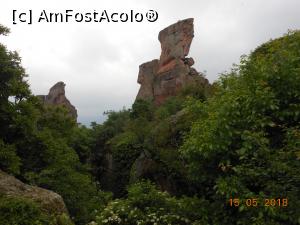 [P11] Kaleto și stâncile Belogradchik - Vegetal și mineral la Belogradchik.  » foto by iulianic
 - 
<span class="allrVoted glyphicon glyphicon-heart hidden" id="av977613"></span>
<a class="m-l-10 hidden" id="sv977613" onclick="voting_Foto_DelVot(,977613,11404)" role="button">șterge vot <span class="glyphicon glyphicon-remove"></span></a>
<a id="v9977613" class=" c-red"  onclick="voting_Foto_SetVot(977613)" role="button"><span class="glyphicon glyphicon-heart-empty"></span> <b>LIKE</b> = Votează poza</a> <img class="hidden"  id="f977613W9" src="/imagini/loader.gif" border="0" /><span class="AjErrMes hidden" id="e977613ErM"></span>