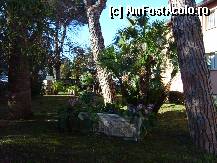 [P03] gradina hotelului » foto by danvoinescu
 - 
<span class="allrVoted glyphicon glyphicon-heart hidden" id="av310129"></span>
<a class="m-l-10 hidden" id="sv310129" onclick="voting_Foto_DelVot(,310129,11405)" role="button">șterge vot <span class="glyphicon glyphicon-remove"></span></a>
<a id="v9310129" class=" c-red"  onclick="voting_Foto_SetVot(310129)" role="button"><span class="glyphicon glyphicon-heart-empty"></span> <b>LIKE</b> = Votează poza</a> <img class="hidden"  id="f310129W9" src="/imagini/loader.gif" border="0" /><span class="AjErrMes hidden" id="e310129ErM"></span>