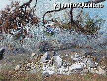 [P14] Atat de aproape de Barbara Studios » foto by vlado2
 - 
<span class="allrVoted glyphicon glyphicon-heart hidden" id="av312142"></span>
<a class="m-l-10 hidden" id="sv312142" onclick="voting_Foto_DelVot(,312142,11446)" role="button">șterge vot <span class="glyphicon glyphicon-remove"></span></a>
<a id="v9312142" class=" c-red"  onclick="voting_Foto_SetVot(312142)" role="button"><span class="glyphicon glyphicon-heart-empty"></span> <b>LIKE</b> = Votează poza</a> <img class="hidden"  id="f312142W9" src="/imagini/loader.gif" border="0" /><span class="AjErrMes hidden" id="e312142ErM"></span>