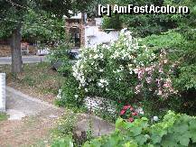 [P02] Intrarea catre Barbara Studios » foto by vlado2
 - 
<span class="allrVoted glyphicon glyphicon-heart hidden" id="av312114"></span>
<a class="m-l-10 hidden" id="sv312114" onclick="voting_Foto_DelVot(,312114,11446)" role="button">șterge vot <span class="glyphicon glyphicon-remove"></span></a>
<a id="v9312114" class=" c-red"  onclick="voting_Foto_SetVot(312114)" role="button"><span class="glyphicon glyphicon-heart-empty"></span> <b>LIKE</b> = Votează poza</a> <img class="hidden"  id="f312114W9" src="/imagini/loader.gif" border="0" /><span class="AjErrMes hidden" id="e312114ErM"></span>