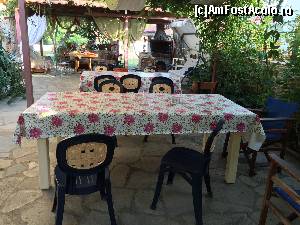 [P15] mesele din curte » foto by Dan&Ema
 - 
<span class="allrVoted glyphicon glyphicon-heart hidden" id="av673690"></span>
<a class="m-l-10 hidden" id="sv673690" onclick="voting_Foto_DelVot(,673690,11446)" role="button">șterge vot <span class="glyphicon glyphicon-remove"></span></a>
<a id="v9673690" class=" c-red"  onclick="voting_Foto_SetVot(673690)" role="button"><span class="glyphicon glyphicon-heart-empty"></span> <b>LIKE</b> = Votează poza</a> <img class="hidden"  id="f673690W9" src="/imagini/loader.gif" border="0" /><span class="AjErrMes hidden" id="e673690ErM"></span>