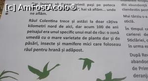 [P05] Parcul Sticlăriei, București » foto by Mioritik
 - 
<span class="allrVoted glyphicon glyphicon-heart hidden" id="av1399971"></span>
<a class="m-l-10 hidden" id="sv1399971" onclick="voting_Foto_DelVot(,1399971,11447)" role="button">șterge vot <span class="glyphicon glyphicon-remove"></span></a>
<a id="v91399971" class=" c-red"  onclick="voting_Foto_SetVot(1399971)" role="button"><span class="glyphicon glyphicon-heart-empty"></span> <b>LIKE</b> = Votează poza</a> <img class="hidden"  id="f1399971W9" src="/imagini/loader.gif" border="0" /><span class="AjErrMes hidden" id="e1399971ErM"></span>