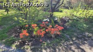 [P16] Grădina japoneză din Herastrău » foto by vlado2
 - 
<span class="allrVoted glyphicon glyphicon-heart hidden" id="av1525559"></span>
<a class="m-l-10 hidden" id="sv1525559" onclick="voting_Foto_DelVot(,1525559,11447)" role="button">șterge vot <span class="glyphicon glyphicon-remove"></span></a>
<a id="v91525559" class=" c-red"  onclick="voting_Foto_SetVot(1525559)" role="button"><span class="glyphicon glyphicon-heart-empty"></span> <b>LIKE</b> = Votează poza</a> <img class="hidden"  id="f1525559W9" src="/imagini/loader.gif" border="0" /><span class="AjErrMes hidden" id="e1525559ErM"></span>