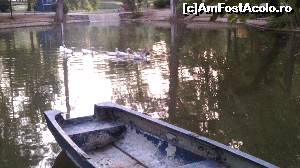 [P44] Pe lac se plimbă in voie gaște și rațe sălbatice.  » foto by Mika
 - 
<span class="allrVoted glyphicon glyphicon-heart hidden" id="av626046"></span>
<a class="m-l-10 hidden" id="sv626046" onclick="voting_Foto_DelVot(,626046,11447)" role="button">șterge vot <span class="glyphicon glyphicon-remove"></span></a>
<a id="v9626046" class=" c-red"  onclick="voting_Foto_SetVot(626046)" role="button"><span class="glyphicon glyphicon-heart-empty"></span> <b>LIKE</b> = Votează poza</a> <img class="hidden"  id="f626046W9" src="/imagini/loader.gif" border="0" /><span class="AjErrMes hidden" id="e626046ErM"></span>