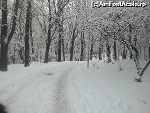[P52] Si iarna e foarte frumos in parc.  » foto by Mika
 - 
<span class="allrVoted glyphicon glyphicon-heart hidden" id="av626054"></span>
<a class="m-l-10 hidden" id="sv626054" onclick="voting_Foto_DelVot(,626054,11447)" role="button">șterge vot <span class="glyphicon glyphicon-remove"></span></a>
<a id="v9626054" class=" c-red"  onclick="voting_Foto_SetVot(626054)" role="button"><span class="glyphicon glyphicon-heart-empty"></span> <b>LIKE</b> = Votează poza</a> <img class="hidden"  id="f626054W9" src="/imagini/loader.gif" border="0" /><span class="AjErrMes hidden" id="e626054ErM"></span>