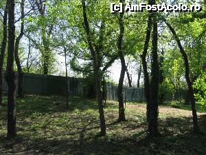 [P16] Enclavă particulară în parc » foto by Michi
 - 
<span class="allrVoted glyphicon glyphicon-heart hidden" id="av504560"></span>
<a class="m-l-10 hidden" id="sv504560" onclick="voting_Foto_DelVot(,504560,11447)" role="button">șterge vot <span class="glyphicon glyphicon-remove"></span></a>
<a id="v9504560" class=" c-red"  onclick="voting_Foto_SetVot(504560)" role="button"><span class="glyphicon glyphicon-heart-empty"></span> <b>LIKE</b> = Votează poza</a> <img class="hidden"  id="f504560W9" src="/imagini/loader.gif" border="0" /><span class="AjErrMes hidden" id="e504560ErM"></span>