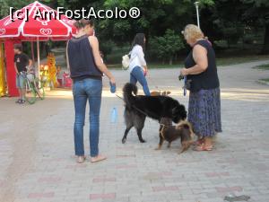 [P17] Masculul alfa » foto by Michi
 - 
<span class="allrVoted glyphicon glyphicon-heart hidden" id="av973340"></span>
<a class="m-l-10 hidden" id="sv973340" onclick="voting_Foto_DelVot(,973340,11447)" role="button">șterge vot <span class="glyphicon glyphicon-remove"></span></a>
<a id="v9973340" class=" c-red"  onclick="voting_Foto_SetVot(973340)" role="button"><span class="glyphicon glyphicon-heart-empty"></span> <b>LIKE</b> = Votează poza</a> <img class="hidden"  id="f973340W9" src="/imagini/loader.gif" border="0" /><span class="AjErrMes hidden" id="e973340ErM"></span>