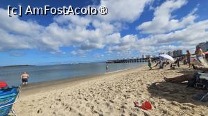 [P12] pe la plajă » foto by robert
 - 
<span class="allrVoted glyphicon glyphicon-heart hidden" id="av1525316"></span>
<a class="m-l-10 hidden" id="sv1525316" onclick="voting_Foto_DelVot(,1525316,11494)" role="button">șterge vot <span class="glyphicon glyphicon-remove"></span></a>
<a id="v91525316" class=" c-red"  onclick="voting_Foto_SetVot(1525316)" role="button"><span class="glyphicon glyphicon-heart-empty"></span> <b>LIKE</b> = Votează poza</a> <img class="hidden"  id="f1525316W9" src="/imagini/loader.gif" border="0" /><span class="AjErrMes hidden" id="e1525316ErM"></span>