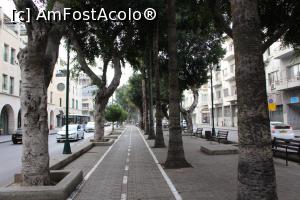 [P02] Tel Aviv, Bulevardul Jerusalem cu pistă pentru biciclete, alee pietonală, cu pomi și bănci, așa sunt bulevardele din Tel Aviv...  » foto by mprofeanu
 - 
<span class="allrVoted glyphicon glyphicon-heart hidden" id="av958274"></span>
<a class="m-l-10 hidden" id="sv958274" onclick="voting_Foto_DelVot(,958274,11509)" role="button">șterge vot <span class="glyphicon glyphicon-remove"></span></a>
<a id="v9958274" class=" c-red"  onclick="voting_Foto_SetVot(958274)" role="button"><span class="glyphicon glyphicon-heart-empty"></span> <b>LIKE</b> = Votează poza</a> <img class="hidden"  id="f958274W9" src="/imagini/loader.gif" border="0" /><span class="AjErrMes hidden" id="e958274ErM"></span>