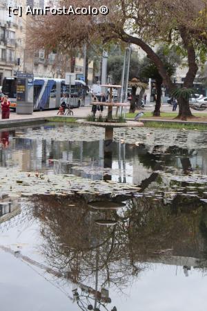 [P43] Tel Aviv, Piața Rabin, Bazinul cu pești și nuferi » foto by mprofeanu
 - 
<span class="allrVoted glyphicon glyphicon-heart hidden" id="av962517"></span>
<a class="m-l-10 hidden" id="sv962517" onclick="voting_Foto_DelVot(,962517,11509)" role="button">șterge vot <span class="glyphicon glyphicon-remove"></span></a>
<a id="v9962517" class=" c-red"  onclick="voting_Foto_SetVot(962517)" role="button"><span class="glyphicon glyphicon-heart-empty"></span> <b>LIKE</b> = Votează poza</a> <img class="hidden"  id="f962517W9" src="/imagini/loader.gif" border="0" /><span class="AjErrMes hidden" id="e962517ErM"></span>