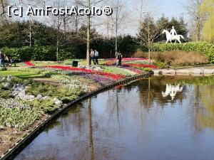 [P16] Keukenhof » foto by Marius 72
 - 
<span class="allrVoted glyphicon glyphicon-heart hidden" id="av1304926"></span>
<a class="m-l-10 hidden" id="sv1304926" onclick="voting_Foto_DelVot(,1304926,11516)" role="button">șterge vot <span class="glyphicon glyphicon-remove"></span></a>
<a id="v91304926" class=" c-red"  onclick="voting_Foto_SetVot(1304926)" role="button"><span class="glyphicon glyphicon-heart-empty"></span> <b>LIKE</b> = Votează poza</a> <img class="hidden"  id="f1304926W9" src="/imagini/loader.gif" border="0" /><span class="AjErrMes hidden" id="e1304926ErM"></span>