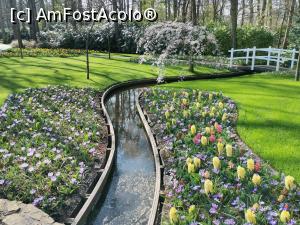 [P20] Keukenhof » foto by Marius 72
 - 
<span class="allrVoted glyphicon glyphicon-heart hidden" id="av1304930"></span>
<a class="m-l-10 hidden" id="sv1304930" onclick="voting_Foto_DelVot(,1304930,11516)" role="button">șterge vot <span class="glyphicon glyphicon-remove"></span></a>
<a id="v91304930" class=" c-red"  onclick="voting_Foto_SetVot(1304930)" role="button"><span class="glyphicon glyphicon-heart-empty"></span> <b>LIKE</b> = Votează poza</a> <img class="hidden"  id="f1304930W9" src="/imagini/loader.gif" border="0" /><span class="AjErrMes hidden" id="e1304930ErM"></span>