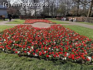 [P21] Keukenhof » foto by Marius 72
 - 
<span class="allrVoted glyphicon glyphicon-heart hidden" id="av1304931"></span>
<a class="m-l-10 hidden" id="sv1304931" onclick="voting_Foto_DelVot(,1304931,11516)" role="button">șterge vot <span class="glyphicon glyphicon-remove"></span></a>
<a id="v91304931" class=" c-red"  onclick="voting_Foto_SetVot(1304931)" role="button"><span class="glyphicon glyphicon-heart-empty"></span> <b>LIKE</b> = Votează poza</a> <img class="hidden"  id="f1304931W9" src="/imagini/loader.gif" border="0" /><span class="AjErrMes hidden" id="e1304931ErM"></span>