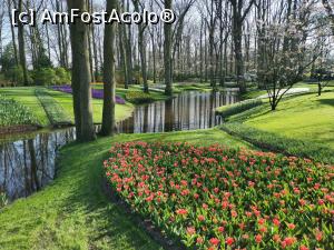 [P25] Keukenhof » foto by Marius 72
 - 
<span class="allrVoted glyphicon glyphicon-heart hidden" id="av1304935"></span>
<a class="m-l-10 hidden" id="sv1304935" onclick="voting_Foto_DelVot(,1304935,11516)" role="button">șterge vot <span class="glyphicon glyphicon-remove"></span></a>
<a id="v91304935" class=" c-red"  onclick="voting_Foto_SetVot(1304935)" role="button"><span class="glyphicon glyphicon-heart-empty"></span> <b>LIKE</b> = Votează poza</a> <img class="hidden"  id="f1304935W9" src="/imagini/loader.gif" border="0" /><span class="AjErrMes hidden" id="e1304935ErM"></span>