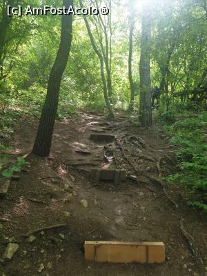 [P24] Cascadele Krushuna - urcuș pe traseul albastru » foto by k-lator
 - 
<span class="allrVoted glyphicon glyphicon-heart hidden" id="av1302224"></span>
<a class="m-l-10 hidden" id="sv1302224" onclick="voting_Foto_DelVot(,1302224,11645)" role="button">șterge vot <span class="glyphicon glyphicon-remove"></span></a>
<a id="v91302224" class=" c-red"  onclick="voting_Foto_SetVot(1302224)" role="button"><span class="glyphicon glyphicon-heart-empty"></span> <b>LIKE</b> = Votează poza</a> <img class="hidden"  id="f1302224W9" src="/imagini/loader.gif" border="0" /><span class="AjErrMes hidden" id="e1302224ErM"></span>