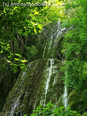 [P27] Cascadele Krushuna - Cascada Misterioasă » foto by k-lator
 - 
<span class="allrVoted glyphicon glyphicon-heart hidden" id="av1302227"></span>
<a class="m-l-10 hidden" id="sv1302227" onclick="voting_Foto_DelVot(,1302227,11645)" role="button">șterge vot <span class="glyphicon glyphicon-remove"></span></a>
<a id="v91302227" class=" c-red"  onclick="voting_Foto_SetVot(1302227)" role="button"><span class="glyphicon glyphicon-heart-empty"></span> <b>LIKE</b> = Votează poza</a> <img class="hidden"  id="f1302227W9" src="/imagini/loader.gif" border="0" /><span class="AjErrMes hidden" id="e1302227ErM"></span>