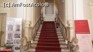 [P14] Intrarea, străjuită de doi lei, în Palazzo Viceregio » foto by Costi
 - 
<span class="allrVoted glyphicon glyphicon-heart hidden" id="av1039461"></span>
<a class="m-l-10 hidden" id="sv1039461" onclick="voting_Foto_DelVot(,1039461,11669)" role="button">șterge vot <span class="glyphicon glyphicon-remove"></span></a>
<a id="v91039461" class=" c-red"  onclick="voting_Foto_SetVot(1039461)" role="button"><span class="glyphicon glyphicon-heart-empty"></span> <b>LIKE</b> = Votează poza</a> <img class="hidden"  id="f1039461W9" src="/imagini/loader.gif" border="0" /><span class="AjErrMes hidden" id="e1039461ErM"></span>