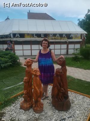 [P09] O familie de suricate, dar nu stiu legatura » foto by lenti
 - 
<span class="allrVoted glyphicon glyphicon-heart hidden" id="av982281"></span>
<a class="m-l-10 hidden" id="sv982281" onclick="voting_Foto_DelVot(,982281,11696)" role="button">șterge vot <span class="glyphicon glyphicon-remove"></span></a>
<a id="v9982281" class=" c-red"  onclick="voting_Foto_SetVot(982281)" role="button"><span class="glyphicon glyphicon-heart-empty"></span> <b>LIKE</b> = Votează poza</a> <img class="hidden"  id="f982281W9" src="/imagini/loader.gif" border="0" /><span class="AjErrMes hidden" id="e982281ErM"></span>