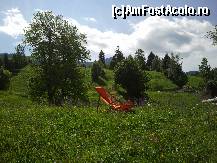 [P08] invitatie la odihna in curtea pensiunii » foto by danastra
 - 
<span class="allrVoted glyphicon glyphicon-heart hidden" id="av329775"></span>
<a class="m-l-10 hidden" id="sv329775" onclick="voting_Foto_DelVot(,329775,11758)" role="button">șterge vot <span class="glyphicon glyphicon-remove"></span></a>
<a id="v9329775" class=" c-red"  onclick="voting_Foto_SetVot(329775)" role="button"><span class="glyphicon glyphicon-heart-empty"></span> <b>LIKE</b> = Votează poza</a> <img class="hidden"  id="f329775W9" src="/imagini/loader.gif" border="0" /><span class="AjErrMes hidden" id="e329775ErM"></span>