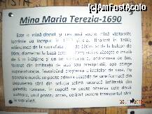 [P13] Informatii despre Mina Maria Terezia din Salina Turda » foto by Alina Morar
 - 
<span class="allrVoted glyphicon glyphicon-heart hidden" id="av167228"></span>
<a class="m-l-10 hidden" id="sv167228" onclick="voting_Foto_DelVot(,167228,11779)" role="button">șterge vot <span class="glyphicon glyphicon-remove"></span></a>
<a id="v9167228" class=" c-red"  onclick="voting_Foto_SetVot(167228)" role="button"><span class="glyphicon glyphicon-heart-empty"></span> <b>LIKE</b> = Votează poza</a> <img class="hidden"  id="f167228W9" src="/imagini/loader.gif" border="0" /><span class="AjErrMes hidden" id="e167228ErM"></span>