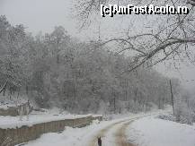 [P09] Frumusetea iernii la Monteoru.  » foto by Tudose E
 - 
<span class="allrVoted glyphicon glyphicon-heart hidden" id="av391629"></span>
<a class="m-l-10 hidden" id="sv391629" onclick="voting_Foto_DelVot(,391629,11824)" role="button">șterge vot <span class="glyphicon glyphicon-remove"></span></a>
<a id="v9391629" class=" c-red"  onclick="voting_Foto_SetVot(391629)" role="button"><span class="glyphicon glyphicon-heart-empty"></span> <b>LIKE</b> = Votează poza</a> <img class="hidden"  id="f391629W9" src="/imagini/loader.gif" border="0" /><span class="AjErrMes hidden" id="e391629ErM"></span>