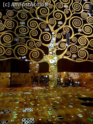 [P02] Copacul vietii - proiectii de neuitat la Atelier des Lumieres Paris » foto by anihbo
 - 
<span class="allrVoted glyphicon glyphicon-heart hidden" id="av1045660"></span>
<a class="m-l-10 hidden" id="sv1045660" onclick="voting_Foto_DelVot(,1045660,11886)" role="button">șterge vot <span class="glyphicon glyphicon-remove"></span></a>
<a id="v91045660" class=" c-red"  onclick="voting_Foto_SetVot(1045660)" role="button"><span class="glyphicon glyphicon-heart-empty"></span> <b>LIKE</b> = Votează poza</a> <img class="hidden"  id="f1045660W9" src="/imagini/loader.gif" border="0" /><span class="AjErrMes hidden" id="e1045660ErM"></span>