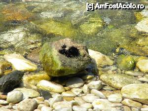 [P37] Asa arata intrarea la plaja Aliki. Aricii de mare au fost adusi de un tanar pt documentare.  » foto by iulian68
 - 
<span class="allrVoted glyphicon glyphicon-heart hidden" id="av462565"></span>
<a class="m-l-10 hidden" id="sv462565" onclick="voting_Foto_DelVot(,462565,11888)" role="button">șterge vot <span class="glyphicon glyphicon-remove"></span></a>
<a id="v9462565" class=" c-red"  onclick="voting_Foto_SetVot(462565)" role="button"><span class="glyphicon glyphicon-heart-empty"></span> <b>LIKE</b> = Votează poza</a> <img class="hidden"  id="f462565W9" src="/imagini/loader.gif" border="0" /><span class="AjErrMes hidden" id="e462565ErM"></span>