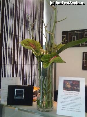 [P04] aranjament floral la receptia hotelului » foto by nicoletass
 - 
<span class="allrVoted glyphicon glyphicon-heart hidden" id="av344189"></span>
<a class="m-l-10 hidden" id="sv344189" onclick="voting_Foto_DelVot(,344189,11933)" role="button">șterge vot <span class="glyphicon glyphicon-remove"></span></a>
<a id="v9344189" class=" c-red"  onclick="voting_Foto_SetVot(344189)" role="button"><span class="glyphicon glyphicon-heart-empty"></span> <b>LIKE</b> = Votează poza</a> <img class="hidden"  id="f344189W9" src="/imagini/loader.gif" border="0" /><span class="AjErrMes hidden" id="e344189ErM"></span>