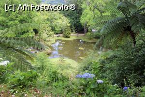 [P40] Insula Sao Miguel, Furnas, Parque Terra Nostra, Vedere din parc » foto by mprofeanu
 - 
<span class="allrVoted glyphicon glyphicon-heart hidden" id="av1013917"></span>
<a class="m-l-10 hidden" id="sv1013917" onclick="voting_Foto_DelVot(,1013917,12102)" role="button">șterge vot <span class="glyphicon glyphicon-remove"></span></a>
<a id="v91013917" class=" c-red"  onclick="voting_Foto_SetVot(1013917)" role="button"><span class="glyphicon glyphicon-heart-empty"></span> <b>LIKE</b> = Votează poza</a> <img class="hidden"  id="f1013917W9" src="/imagini/loader.gif" border="0" /><span class="AjErrMes hidden" id="e1013917ErM"></span>