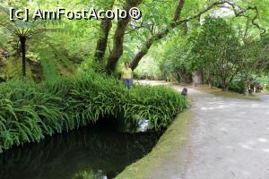 [P44] Insula Sao Miguel, Furnas, Parque Terra Nostra, Am Fost Acolo » foto by mprofeanu
 - 
<span class="allrVoted glyphicon glyphicon-heart hidden" id="av1013924"></span>
<a class="m-l-10 hidden" id="sv1013924" onclick="voting_Foto_DelVot(,1013924,12102)" role="button">șterge vot <span class="glyphicon glyphicon-remove"></span></a>
<a id="v91013924" class=" c-red"  onclick="voting_Foto_SetVot(1013924)" role="button"><span class="glyphicon glyphicon-heart-empty"></span> <b>LIKE</b> = Votează poza</a> <img class="hidden"  id="f1013924W9" src="/imagini/loader.gif" border="0" /><span class="AjErrMes hidden" id="e1013924ErM"></span>