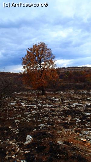 [P03] Drumul spre peștera Prohodna Dupka » foto by Dragoș_MD
 - 
<span class="allrVoted glyphicon glyphicon-heart hidden" id="av1143453"></span>
<a class="m-l-10 hidden" id="sv1143453" onclick="voting_Foto_DelVot(,1143453,12191)" role="button">șterge vot <span class="glyphicon glyphicon-remove"></span></a>
<a id="v91143453" class=" c-red"  onclick="voting_Foto_SetVot(1143453)" role="button"><span class="glyphicon glyphicon-heart-empty"></span> <b>LIKE</b> = Votează poza</a> <img class="hidden"  id="f1143453W9" src="/imagini/loader.gif" border="0" /><span class="AjErrMes hidden" id="e1143453ErM"></span>