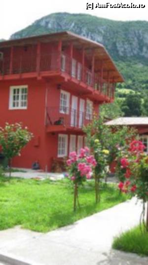 [P01]  -- <small>// FĂRĂ DESCRIERE</small> » foto by miriamysa*
 - 
<span class="allrVoted glyphicon glyphicon-heart hidden" id="av350955"></span>
<a class="m-l-10 hidden" id="sv350955" onclick="voting_Foto_DelVot(,350955,12265)" role="button">șterge vot <span class="glyphicon glyphicon-remove"></span></a>
<a id="v9350955" class=" c-red"  onclick="voting_Foto_SetVot(350955)" role="button"><span class="glyphicon glyphicon-heart-empty"></span> <b>LIKE</b> = Votează poza</a> <img class="hidden"  id="f350955W9" src="/imagini/loader.gif" border="0" /><span class="AjErrMes hidden" id="e350955ErM"></span>