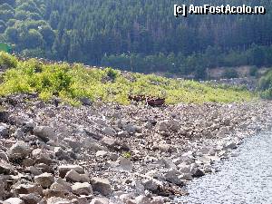 P02 [JUL-2012] Drumul national traverseaza barajul, pentru Odorhei faceti stanga, pentru camping faceti dreapta. 