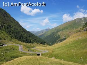 [P03] Pe Transfăgărășan, coborârea spre Vidraru.  » foto by Floryn81
 - 
<span class="allrVoted glyphicon glyphicon-heart hidden" id="av1146790"></span>
<a class="m-l-10 hidden" id="sv1146790" onclick="voting_Foto_DelVot(,1146790,12511)" role="button">șterge vot <span class="glyphicon glyphicon-remove"></span></a>
<a id="v91146790" class=" c-red"  onclick="voting_Foto_SetVot(1146790)" role="button"><span class="glyphicon glyphicon-heart-empty"></span> <b>LIKE</b> = Votează poza</a> <img class="hidden"  id="f1146790W9" src="/imagini/loader.gif" border="0" /><span class="AjErrMes hidden" id="e1146790ErM"></span>