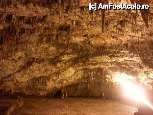 [P17] Stalactite in Drogarati Grotten » foto by gabi cristina
 - 
<span class="allrVoted glyphicon glyphicon-heart hidden" id="av440637"></span>
<a class="m-l-10 hidden" id="sv440637" onclick="voting_Foto_DelVot(,440637,12575)" role="button">șterge vot <span class="glyphicon glyphicon-remove"></span></a>
<a id="v9440637" class=" c-red"  onclick="voting_Foto_SetVot(440637)" role="button"><span class="glyphicon glyphicon-heart-empty"></span> <b>LIKE</b> = Votează poza</a> <img class="hidden"  id="f440637W9" src="/imagini/loader.gif" border="0" /><span class="AjErrMes hidden" id="e440637ErM"></span>