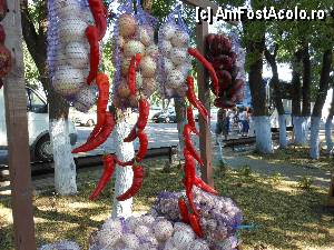 [P26] Piata de legume si fructe amenajata in camp, intre Odesa si Zatoka.  » foto by iulianic
 - 
<span class="allrVoted glyphicon glyphicon-heart hidden" id="av359009"></span>
<a class="m-l-10 hidden" id="sv359009" onclick="voting_Foto_DelVot(,359009,12581)" role="button">șterge vot <span class="glyphicon glyphicon-remove"></span></a>
<a id="v9359009" class=" c-red"  onclick="voting_Foto_SetVot(359009)" role="button"><span class="glyphicon glyphicon-heart-empty"></span> <b>LIKE</b> = Votează poza</a> <img class="hidden"  id="f359009W9" src="/imagini/loader.gif" border="0" /><span class="AjErrMes hidden" id="e359009ErM"></span>