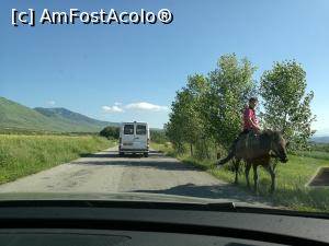 [P24] Așa se călăresc măgărușii în Albania » foto by crismis
 - 
<span class="allrVoted glyphicon glyphicon-heart hidden" id="av877655"></span>
<a class="m-l-10 hidden" id="sv877655" onclick="voting_Foto_DelVot(,877655,12619)" role="button">șterge vot <span class="glyphicon glyphicon-remove"></span></a>
<a id="v9877655" class=" c-red"  onclick="voting_Foto_SetVot(877655)" role="button"><span class="glyphicon glyphicon-heart-empty"></span> <b>LIKE</b> = Votează poza</a> <img class="hidden"  id="f877655W9" src="/imagini/loader.gif" border="0" /><span class="AjErrMes hidden" id="e877655ErM"></span>