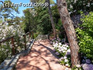 [P57] Grădina raiului?  » foto by maryka
 - 
<span class="allrVoted glyphicon glyphicon-heart hidden" id="av1084705"></span>
<a class="m-l-10 hidden" id="sv1084705" onclick="voting_Foto_DelVot(,1084705,12624)" role="button">șterge vot <span class="glyphicon glyphicon-remove"></span></a>
<a id="v91084705" class=" c-red"  onclick="voting_Foto_SetVot(1084705)" role="button"><span class="glyphicon glyphicon-heart-empty"></span> <b>LIKE</b> = Votează poza</a> <img class="hidden"  id="f1084705W9" src="/imagini/loader.gif" border="0" /><span class="AjErrMes hidden" id="e1084705ErM"></span>