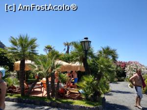 [P58] La plimbare prin parc.  » foto by maryka
 - 
<span class="allrVoted glyphicon glyphicon-heart hidden" id="av1084706"></span>
<a class="m-l-10 hidden" id="sv1084706" onclick="voting_Foto_DelVot(,1084706,12624)" role="button">șterge vot <span class="glyphicon glyphicon-remove"></span></a>
<a id="v91084706" class=" c-red"  onclick="voting_Foto_SetVot(1084706)" role="button"><span class="glyphicon glyphicon-heart-empty"></span> <b>LIKE</b> = Votează poza</a> <img class="hidden"  id="f1084706W9" src="/imagini/loader.gif" border="0" /><span class="AjErrMes hidden" id="e1084706ErM"></span>