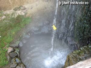 [P09]  -- <small>// FĂRĂ DESCRIERE</small> » foto by ovidiu pauna
 - 
<span class="allrVoted glyphicon glyphicon-heart hidden" id="av563276"></span>
<a class="m-l-10 hidden" id="sv563276" onclick="voting_Foto_DelVot(,563276,12624)" role="button">șterge vot <span class="glyphicon glyphicon-remove"></span></a>
<a id="v9563276" class=" c-red"  onclick="voting_Foto_SetVot(563276)" role="button"><span class="glyphicon glyphicon-heart-empty"></span> <b>LIKE</b> = Votează poza</a> <img class="hidden"  id="f563276W9" src="/imagini/loader.gif" border="0" /><span class="AjErrMes hidden" id="e563276ErM"></span>